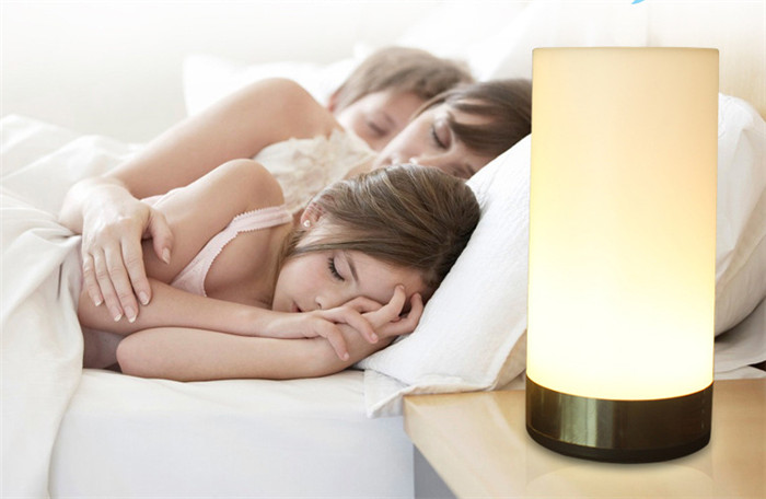 Battery 800MA Portable led party light decorative table lamp
